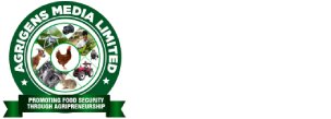 Agrigens Multimedia.