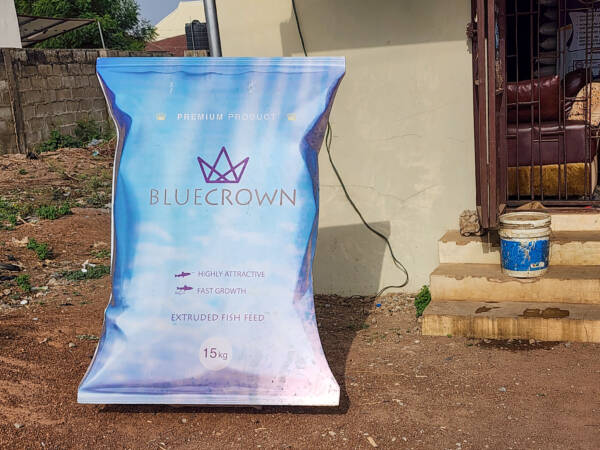 BLUECROWN