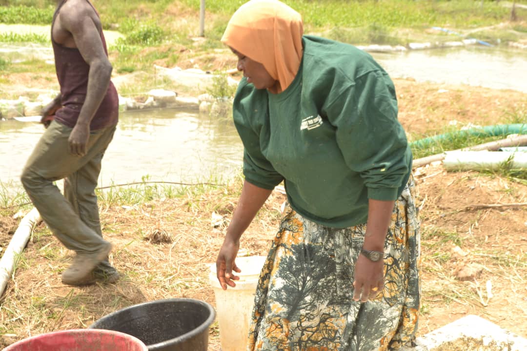 Women in agriculture