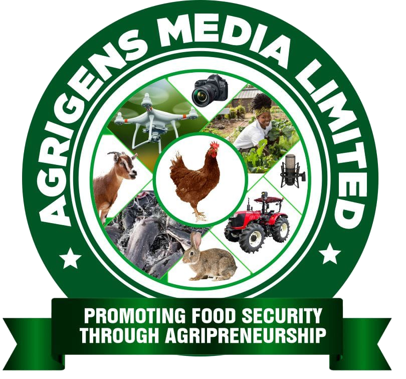 Agrigensmedia