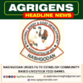 NASHGODAN URGES FG TO ESTABLISH COMMUNITY-BASED LIVESTOCK FEED BANKS.